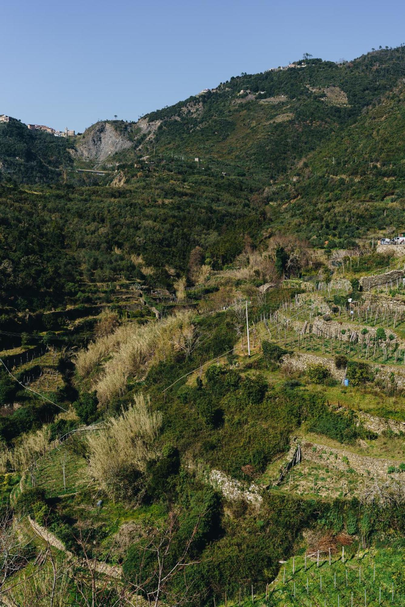 Punto Zero Hotel Corniglia Buitenkant foto